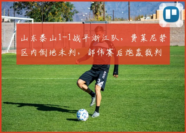 山东泰山1-1战平浙江队,费莱尼禁区内倒地未判,郝伟赛后炮轰裁判组